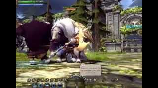 Dragon Nest Damage BUG