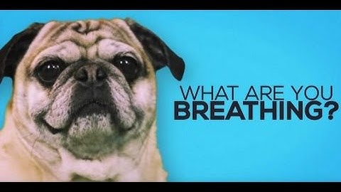 The Air Quality Health Index Explained