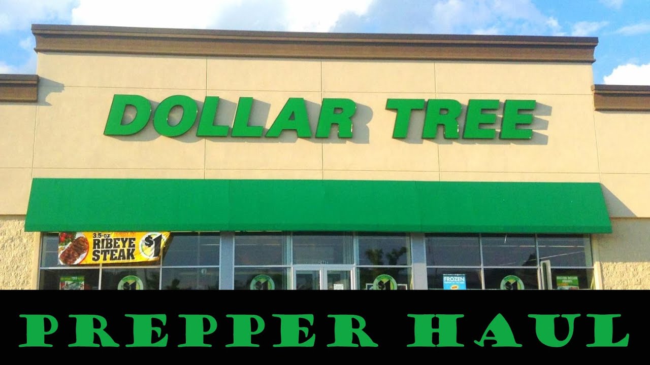 prepper-haul-from-the-dollar-tree-stock-up-youtube