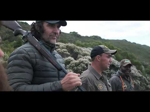 Official safari film 11