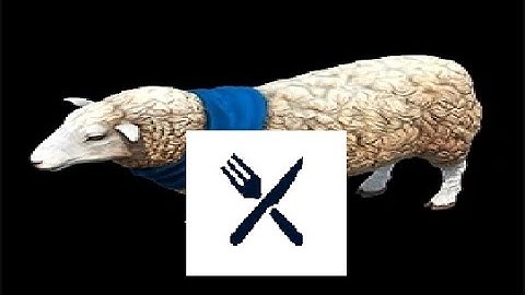 How to eat sheep correctly