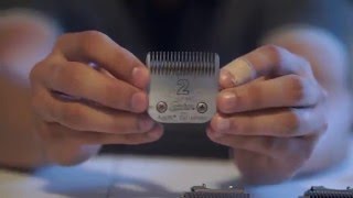 Learning your Metal , Plastic and Magnetic Guards 101 |HD| Beginners Guide @AB.THEBARBERSCHAIR
