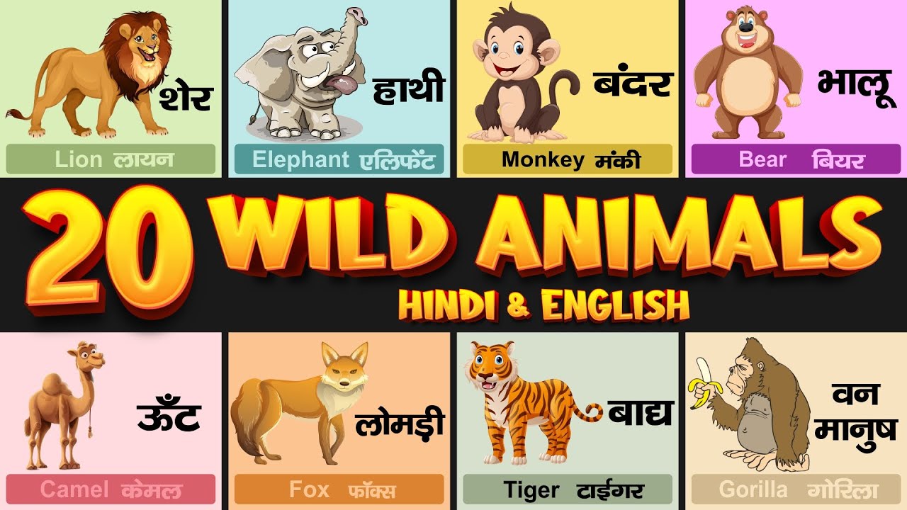 20 Wild Animals Name in Hindi and English with Pictures | 20 जंगली ...