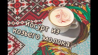 Йогурт из козьего молока | Домашний йогурт| Домашний йогурт без йогуртницы .