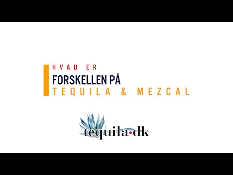 Video: Tequila og Mezcal - Hvad er forskellen?