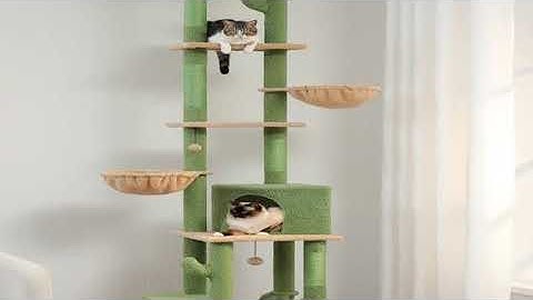 Cactus Cat Tree Floor to Ceiling Cat Tower 7 Tiers Cat Climbing Tree with Cozy Hammocks an