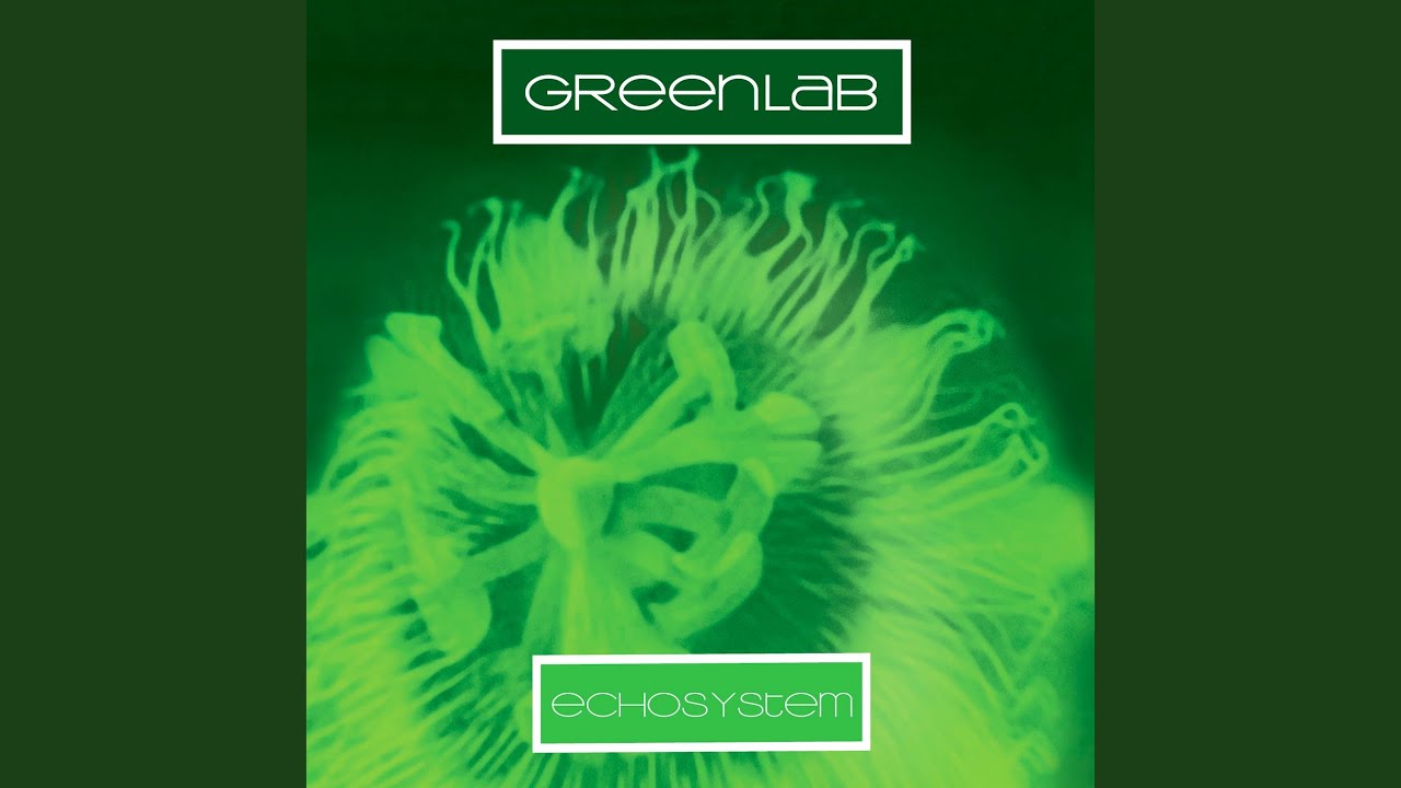 Watch Zensonic on YouTube Watch Zensonic on YouTube