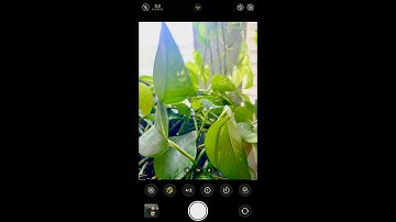 How to Find or Access the Camera Timer on iPhone 13 Pro Max | iPhone Camera Timer in Photo App