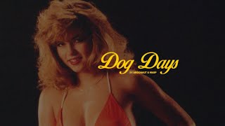 Miniatura de vídeo de "Argonaut & Wasp - Dog Days (OFFICIAL MUSIC VIDEO)"