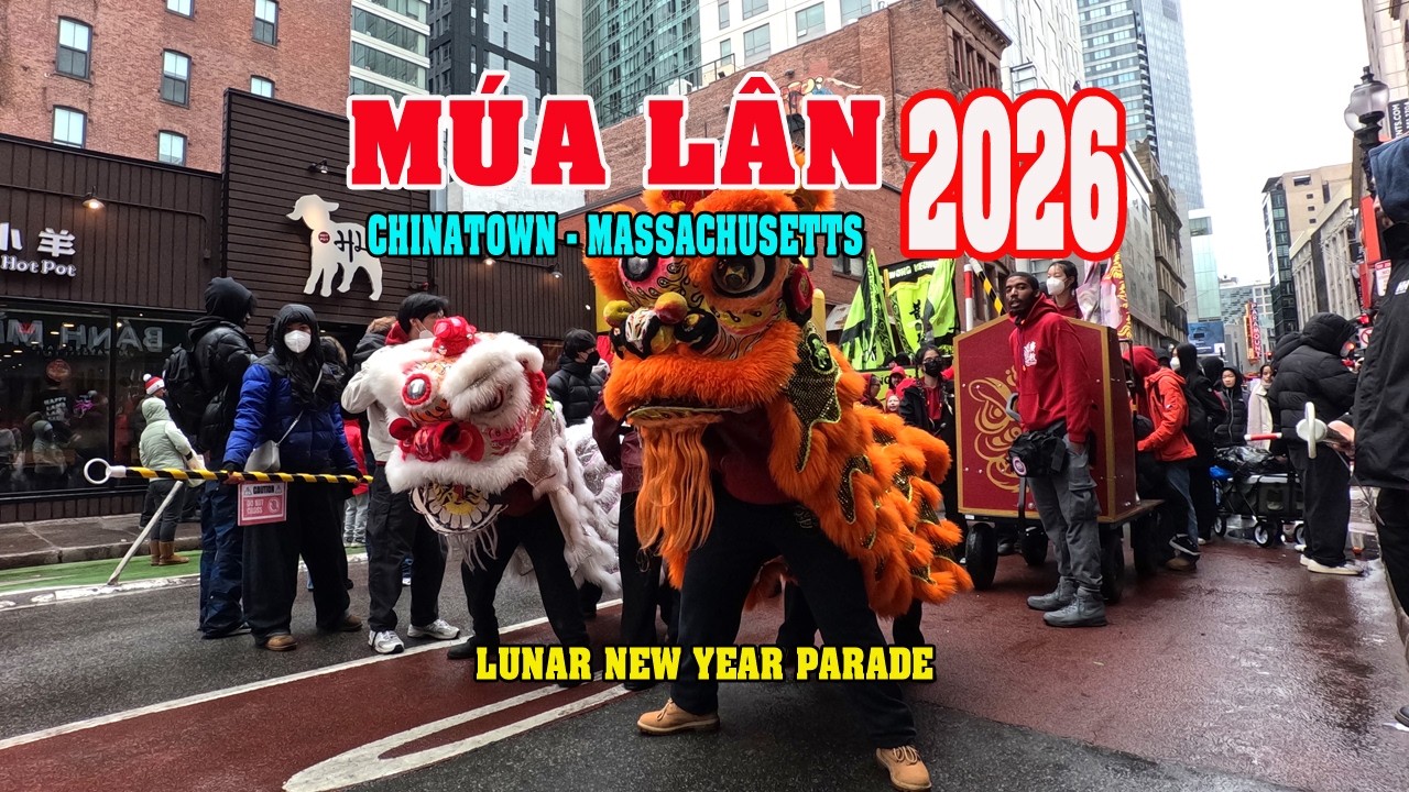 Múa Lân mừng Tết  2026 tại khu phố Tàu Chinatown - Boston. #liondance #mualan #chinatown #thanhcao