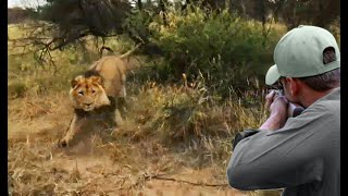 Hunting Lions, Boars, and the Secrets of the Professional Hunter