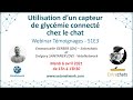  utilisation dun capteur de glycmie connect chez le chat  tmoignage demmanuelle gerber