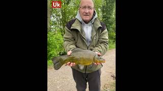 Tench