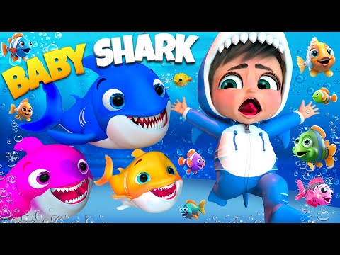 Baby Shark's Dance Song - Baby songs -Nursery Rhymes & Kids Songs #BabyShark #shortvideo #shorts