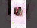 🎀🍮my 2022-2023 cutecore pics!!🍥🍡 #cutecore #kawaiicore #sanrio #kawaii #hellokitty #nostalgia
