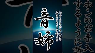 ヘッドホンのお手入れを毎日するように訴える音姉 #shorts #ヘッドホン#お手入れ #毎日