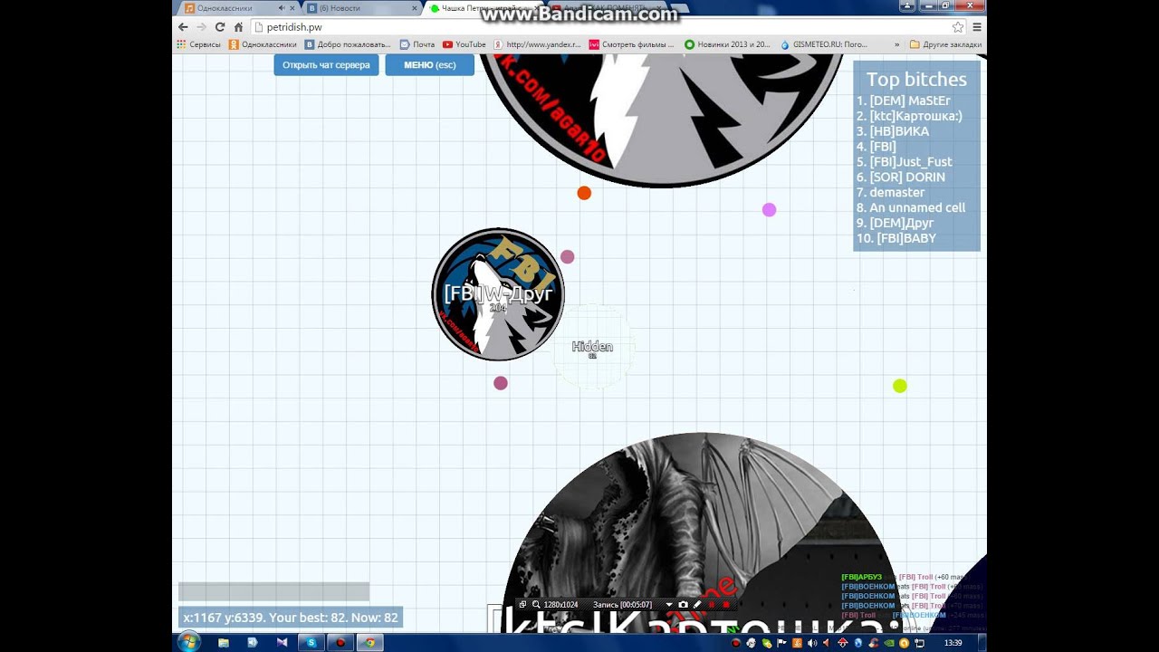 Чашка Петри - YouTube