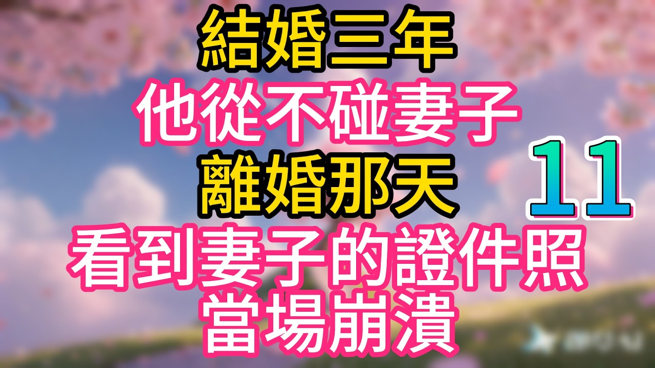 第十一集：結婚三年，他從不碰妻子，離婚那天，看到妻子的證件照，當場崩潰