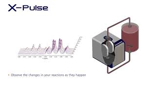X-Pulse Flow