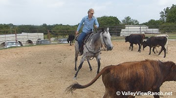 Boonaful - working cows #2! - ValleyViewRanch.net