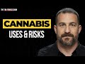 Cannabis uses and risks  dr andrew huberman  the tim ferriss show