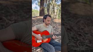Dry vs effects on acoustic guitar 🎸 | ToneWoodAmp2