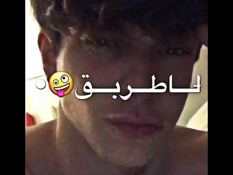 اغنية لو خايف روح نام خلص الوقت طير يا حمام