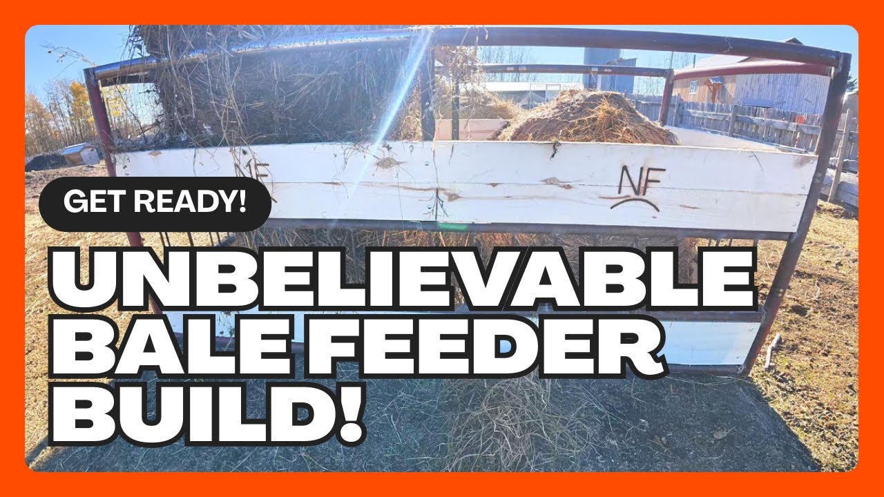 The BEST Bale Feeder (Full Build)