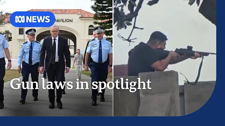 Albanese moves swiftly on gun laws after Bondi Beach terror attack | ABC NEWS