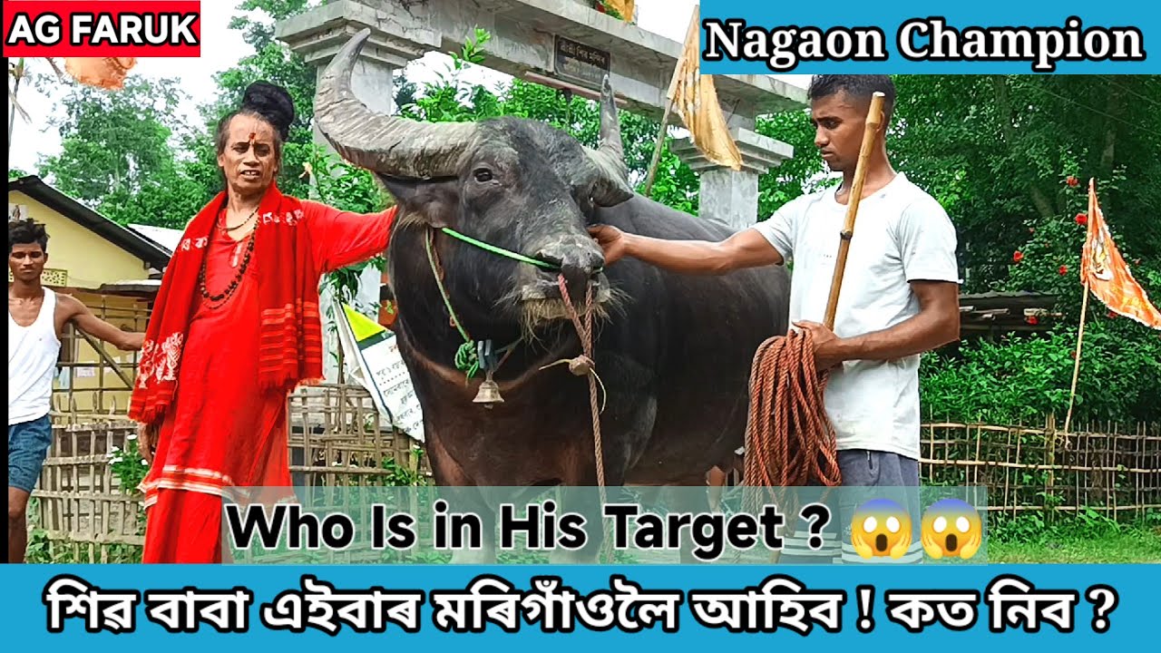 SHIV BABA MOH || প্ৰথম তৃদ্বীপ হাজৰিকাৰ লগত হব খেল ।। SHIV BABA VS TRIDIP HAJORIKA | AG FARUK 