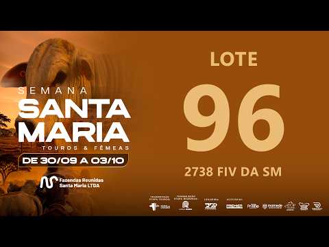 LOTE 96 FSM A2738