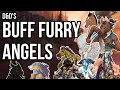 Dds buff furry angels