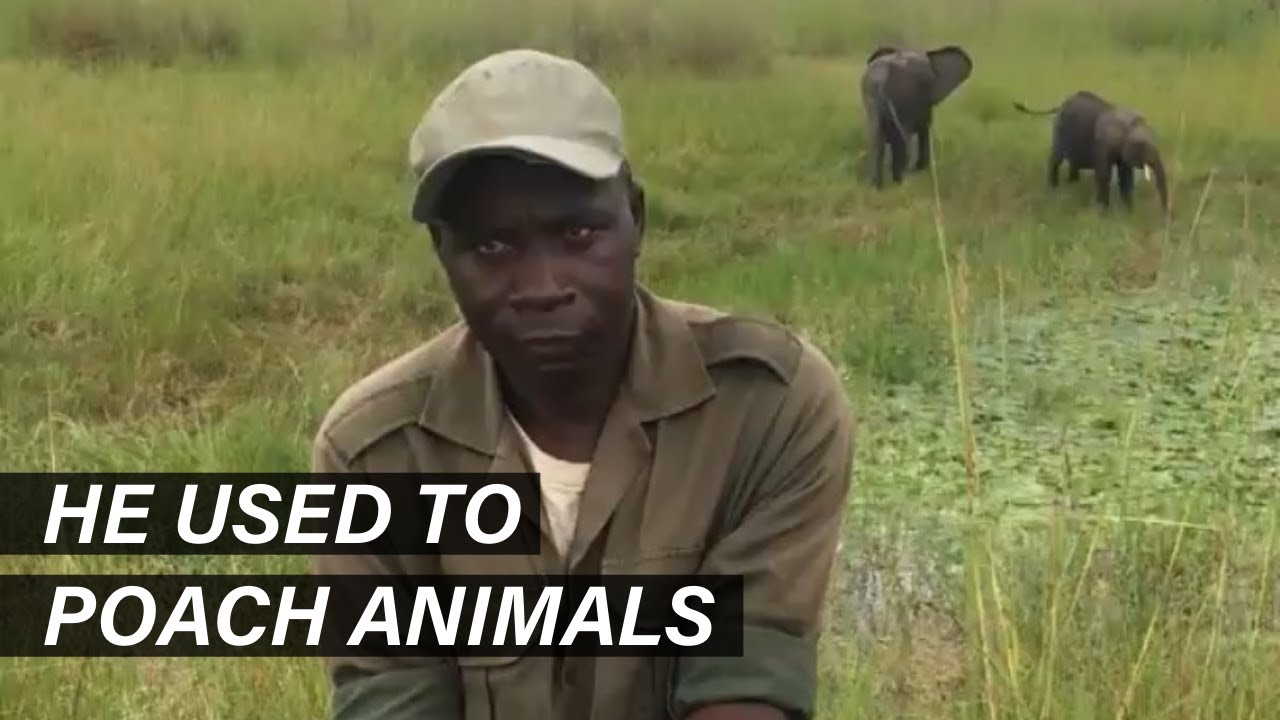 He Was Poaching Animals, Then This Happened...