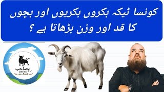 Vitamin A D & E use in goats/Bakron komota kerne aur qad barhane wala teeka