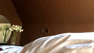 Asurion & At&t Insurance Fraud