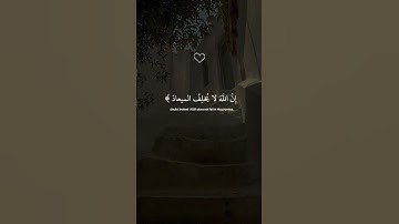 أذكروا الله🤍🤍#quran #اكسبلور #قران_كريم #لايك #قرآن#فلسطين#راحة_نفسية#تلاوات_هادئة #غزة #الله#المصحف