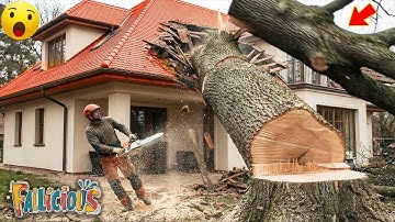 TOTAL IDIOTS AT WORK | Instant Regret Fails Compilation 2025 | Best fail of the week😂 #57