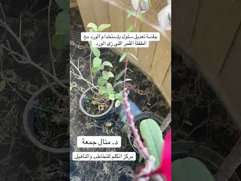 جلسة تعديل سلوك بإستخدام الورد مع الطفلة القمر اللي زي الورد د منال جمعة تخاطب