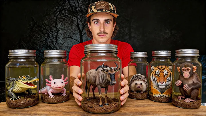 I Bought the Deadliest Creatures On the Dark Web! 