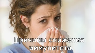 Видео Причины снижения иммунитета (автор: Pro Здоровье)