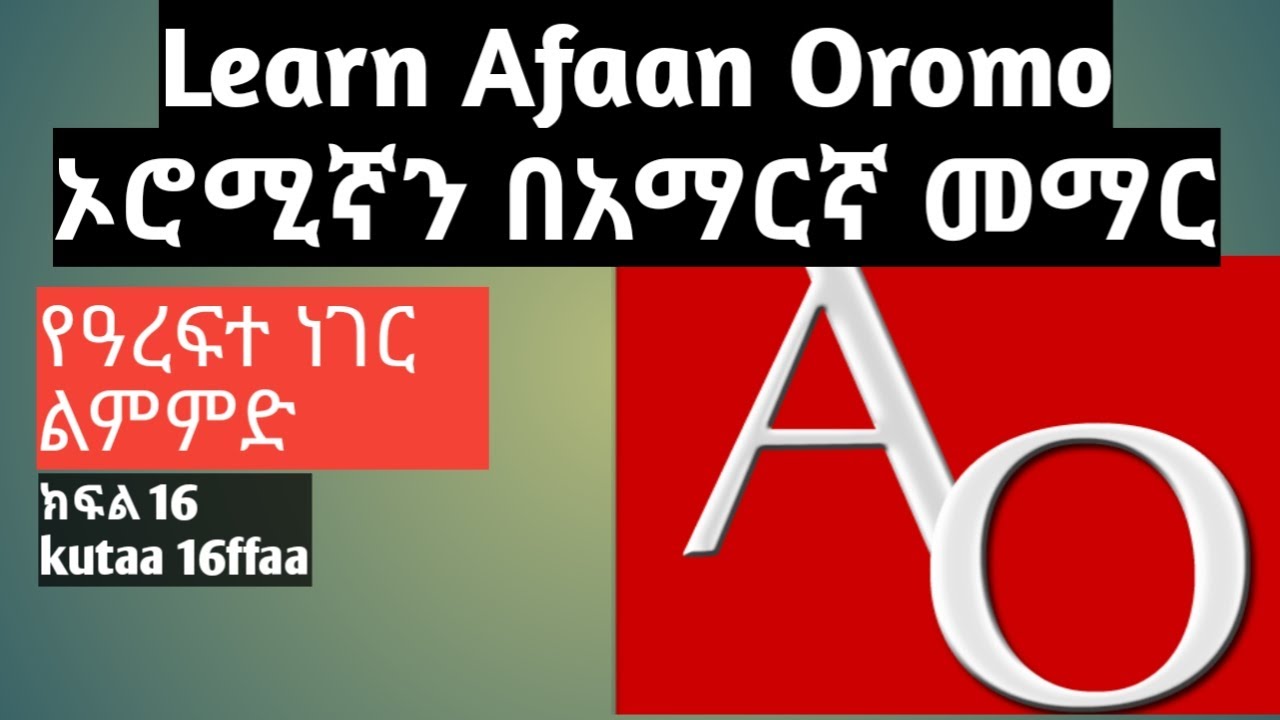 Learn Afaan Oromo in Amharic/የአረፍተ ነገር ልምምድ-Himoota Shaakala/part 16