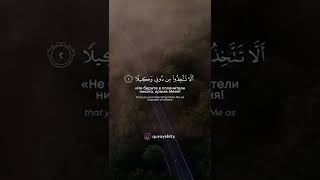 Surah al-Isra' | Ibrahim Al-Asiri #коран #ислам #красивоечтениекорана #сура #аят #напоминание