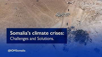 Somalia’s climate crises: Challenges and Solutions #worldenvironmentday2023