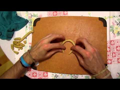 Shaping the Taralli