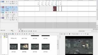 Sony Vegas Tutorial -  Flash Walk