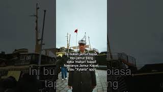 Jamur 'Makan' Kapal Tenggelam di Laut Dalam! 🚢🍄 | Info Cepat 60