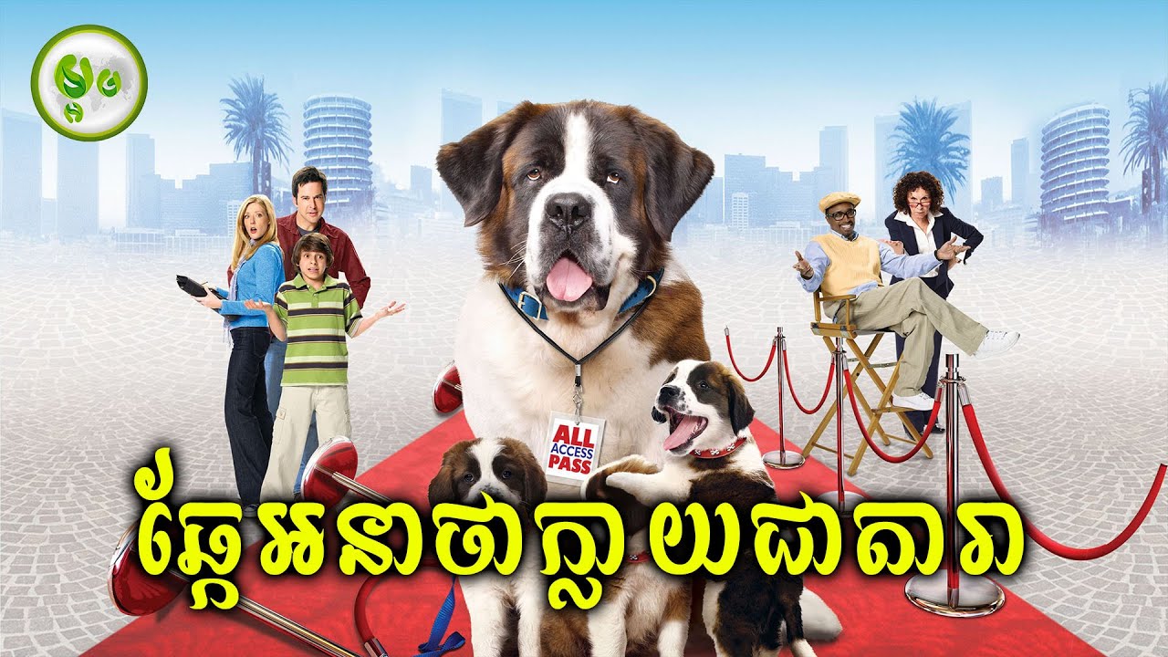 ឆ្កែអនាថាប្រែទៅជាឆ្កែល្បី | ម្អម សម្រាយរឿង