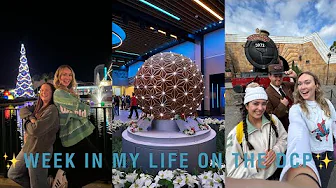 week in my life on the dcp // friendsgiving, festival foods & hogwarts