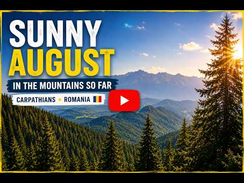 Sunny August in the mountains // Carpathians // Romania