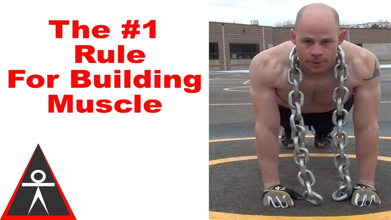 calisthenics workout program for beginners The Only Muscle Building Rule I Rely On.